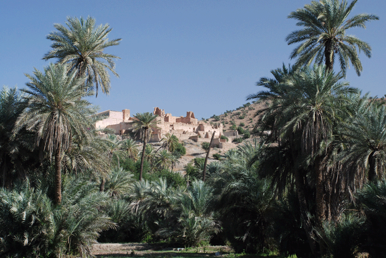 l'ancienne kasba du Glaoui