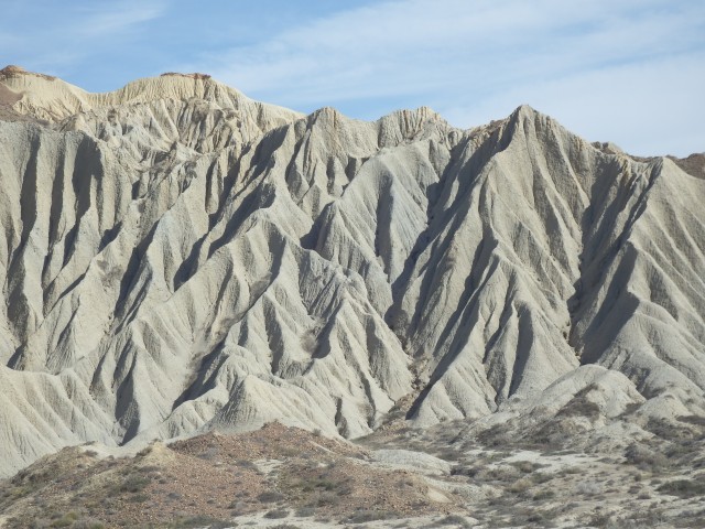 DSCF1549.JPG