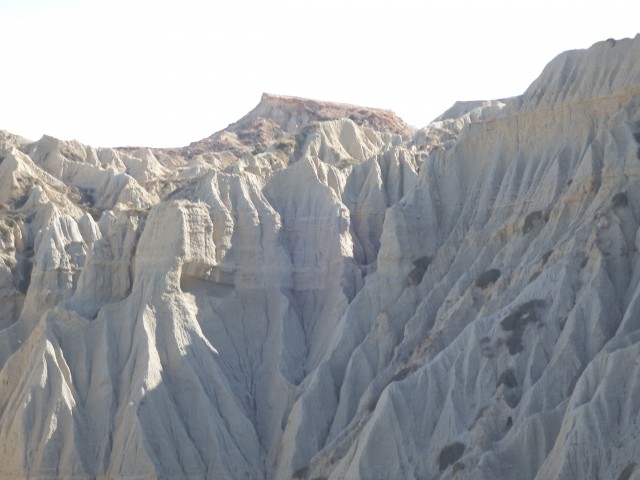 DSCF1553.JPG