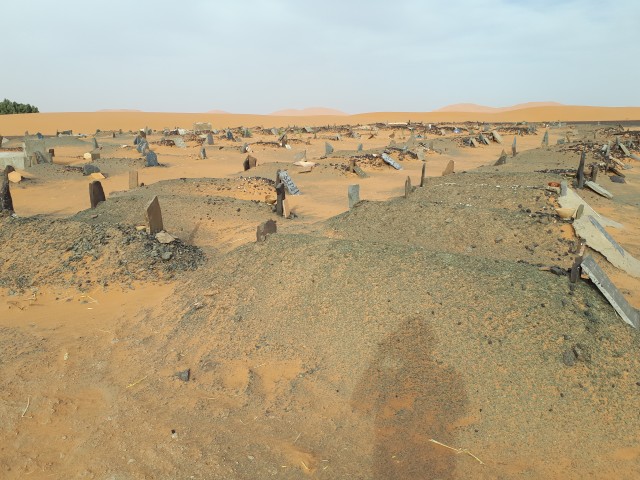 20190306_172113.jpg