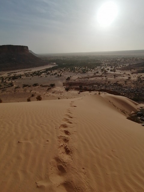 Dunes, falaises et palmeraie d'Azoughi