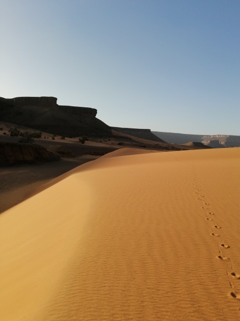 Sahara, ombre et soleil...