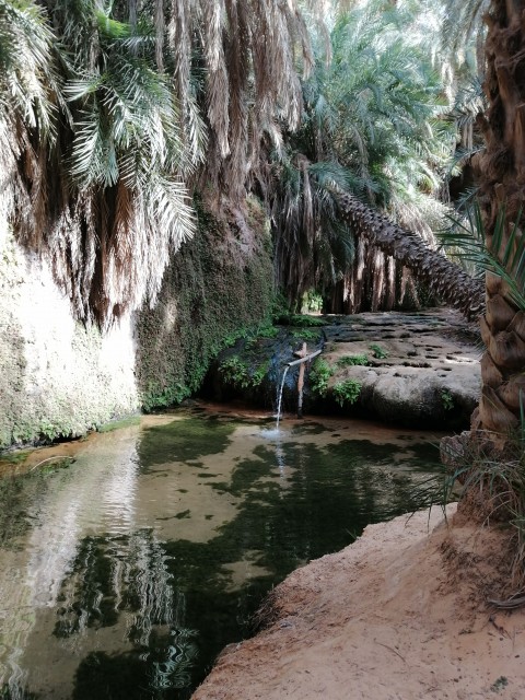 Oasis de Tergit (Adrar.Mauritanie)