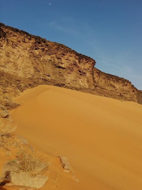 Tergit : Dunes ocres