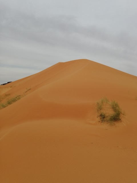 On pourrait presque se croire à Merzouga...