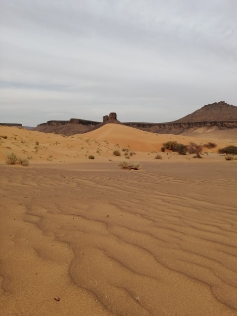 Une meilleure idée de la hauteur de la dune principale(avec la montagne en arrière plan) . La vallée blanche est bien plus majestueuse quoique davantage fréquentée. (un peu plus grande que Merzouga, me semble-t-il.)J'ai quelques photos réalisées à conte jour et par temps poussiéreux, donc pas top. J'en referai quand le ciel sera tout bleu. On voit bien ces jours ci davantage de nuages élevés et de poussières. Malgré tout, toujours une agréable chaleur à Tergit...