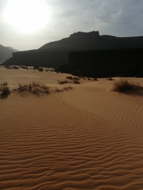 Sable en contre jour.