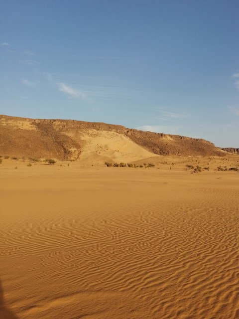 Vallée blanche (vers le nord, toujours des dunes)