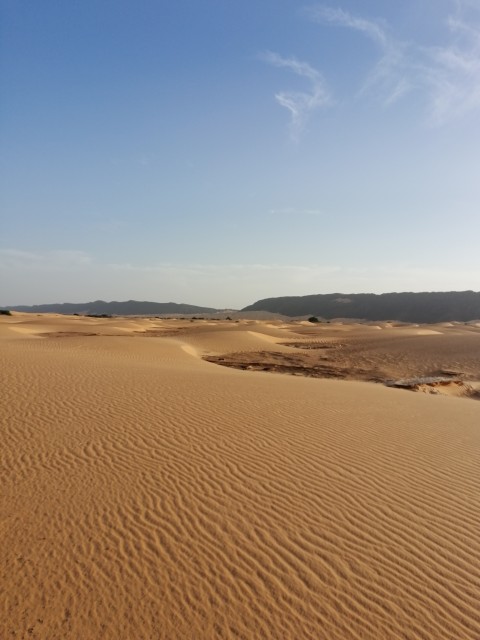 La vallée blanche (vers le sud, des dunes)<br />La vallée fait une bonne cinquantaine de kms de long sur une quinzaine de large environ)<br />J'étais environ 10 kms à l'interieur de la vallée. On a connu plus agréable que marcher dans le sable en poussant le vélo)