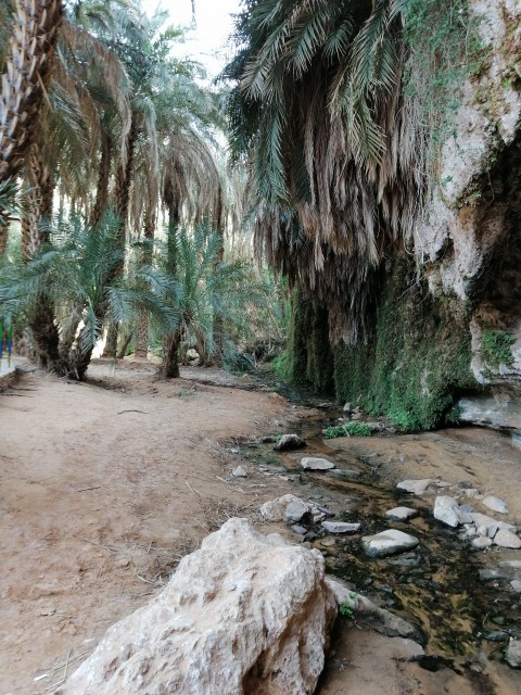 À l'ombre des falaises, le ruisseau de Tergit...