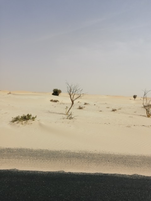 Dunettes de sable blanc au bord de la N1 au nord de Nouakchott (la même couleur qu'au sud de Dakhla).