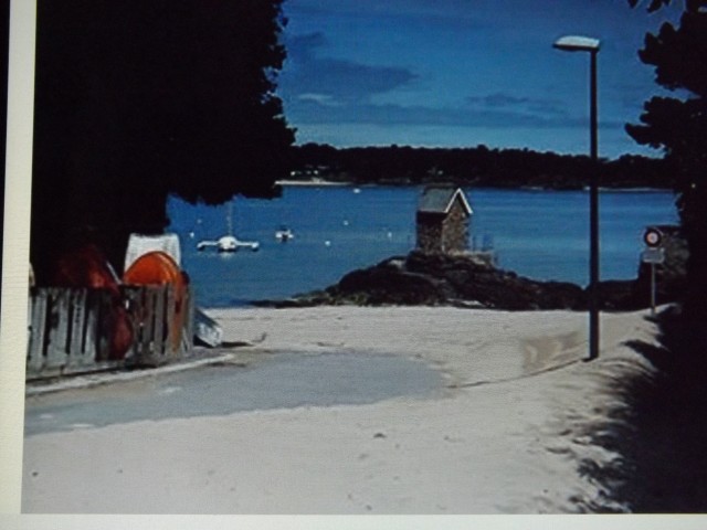 DSCF2869.JPG
