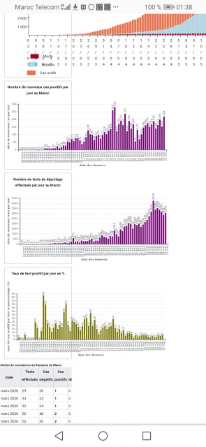 Statistiques brutes Covid 19 Maroc (voir en bas, le pourcentage de positifs)