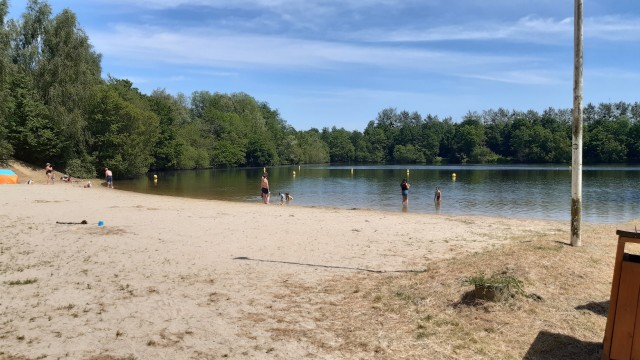 20200521_145613.jpg