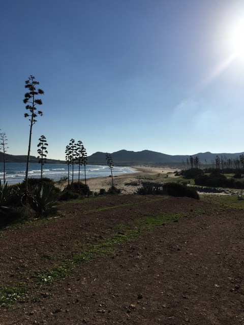 (Playa de Los Genoveses de Gata Nijar)