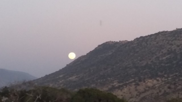 20190320_195334.jpg