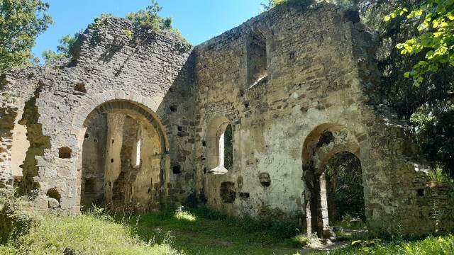 20200527_154317.jpg