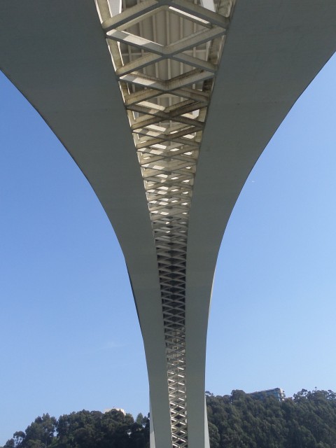 SAM_0946.JPG