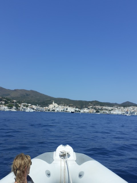 20200720_124952.jpg