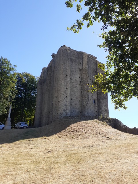 20200807_111041.jpg