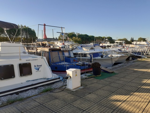 20200903_081121.jpg