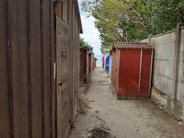 20200928_154348.jpg