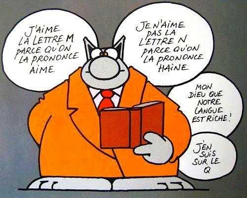 A Mediter Trop Fort Ce Chat Ccomaroc